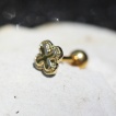 Piercing cartilage tragus h�lix plaqu� or tr�fle � 4 feuilles