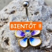 Piercing nombril fleur hibiscus sertie � bords dor�s