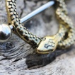 Piercing téton serpent doré