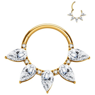 Anneau charni�re Titane dor� � p�tales de zirconiums (septum, daith...)