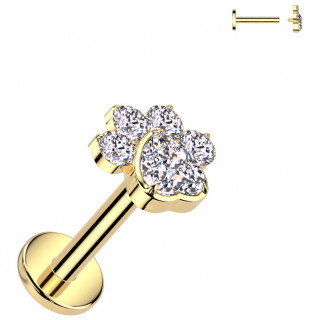 Piercing labret Titane dor� � patte de chat zirconiums (l�vre et oreille)