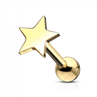 Piercing barbell cartilage � �toile - Dor� (tragus, helix...)