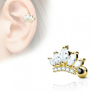 Piercing cartilage tiare princi�re - Dor�