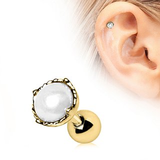 Piercing cartilage tragus h�lix dor� � perle blanche