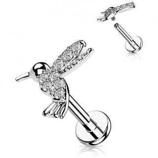 Piercing colibri pav� de strass (l�vre, h�lix, flat...)