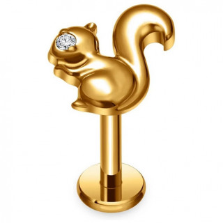 Piercing Ecureuil l�vre et oreille en Titane dor� (� filetage interne)