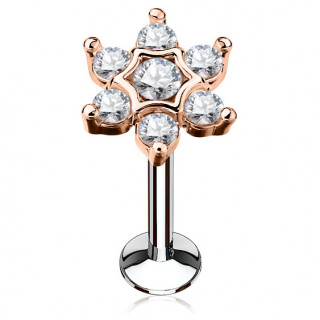 Piercing �toile cuivr�e strass (l�vre, cartilage)