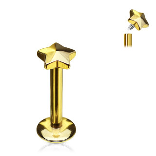 Piercing �toile en acier dor� � filetage interne (l�vre, cartilage...)