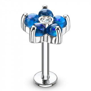 Piercing fleur � 6 p�tales d'opale bleue (l�vre, cartilage...)
