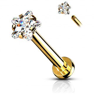 Piercing labret / cartilage dor� � pierre �toil�e