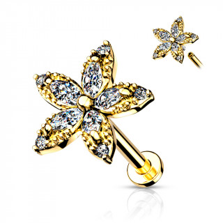 Piercing labret / cartilage � fleur de marquises - Plaqu� or jaune