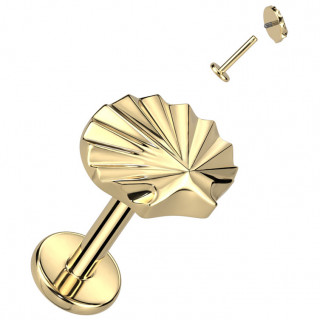 Piercing labret Coquillage marin dor� en Titane � filetage interne (l�vre, tragus, h�lix...)
