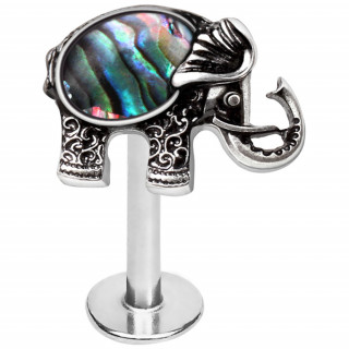 Piercing labret �l�phant orn� d'abalone (l�vre, tragus, h�lix...)