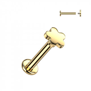 Piercing labret fleur dor�e Titane (l�vre et oreille)