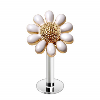 Piercing labret fleur fleur dor�e et emaill�e blanc