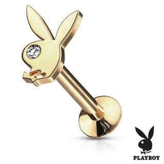 Piercing labret lapin Playboy - Dor� (filetage interne)