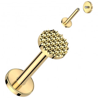 Piercing labret Titane dor� � disque alv�ol�