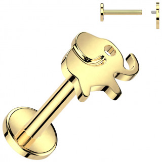 Piercing labret Titane dor� Elephant (l�vre, h�lix, flat, lobe...)