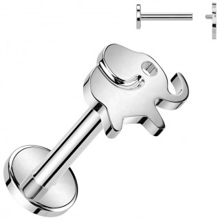 Piercing labret Titane Elephant (l�vre, h�lix, flat, lobe...)