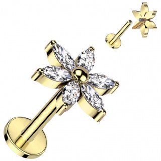 Piercing labret Titane Fleur dor�e � p�tales �tincelants et perle (l�vre, tragus, h�lix...)