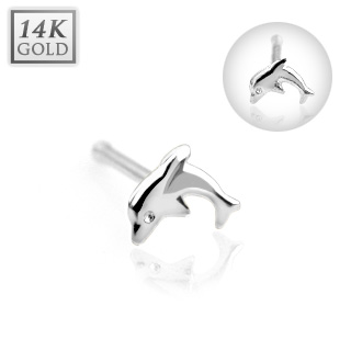 Piercing nez stud � dauphin en or blanc 14 carats