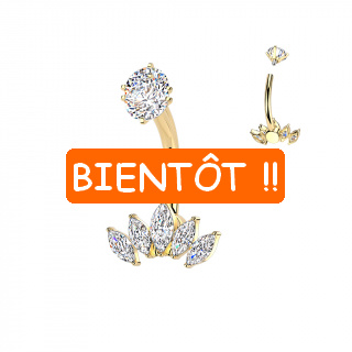 Piercing nombril acier dor� � couronne de zirconiums en marquises