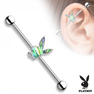 Piercing oreille industriel en acier � lapin Playboy en laiton couvert de nacre d'abalone