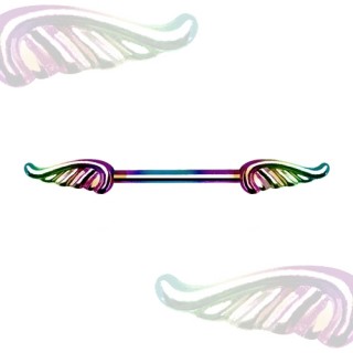 Piercing t�ton � ailes d'ange en acier plaqu� PVD arc en ciel