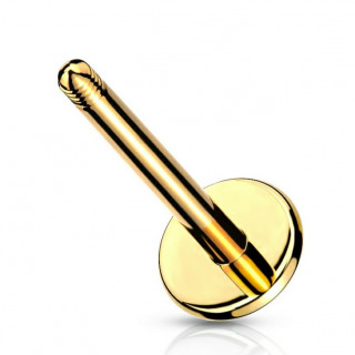 Tige / barre de remplacement labret Dor�e en acier pour piercing
